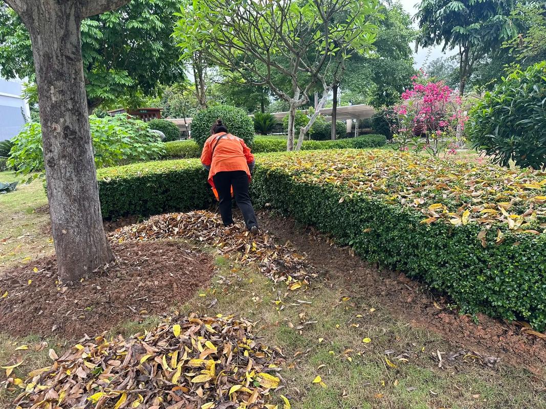 苗木種植基地與園林綠化工程 綠化苗木人施工的關(guān)鍵要素